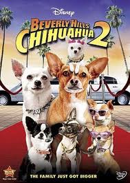 BeverlyHillsChihuahua2